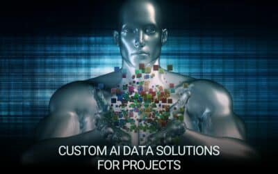 Bespoke AI Data Solutions for Your Unique Projects