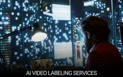 Enhancing AI Accuracy with Professional Video Labeling Services