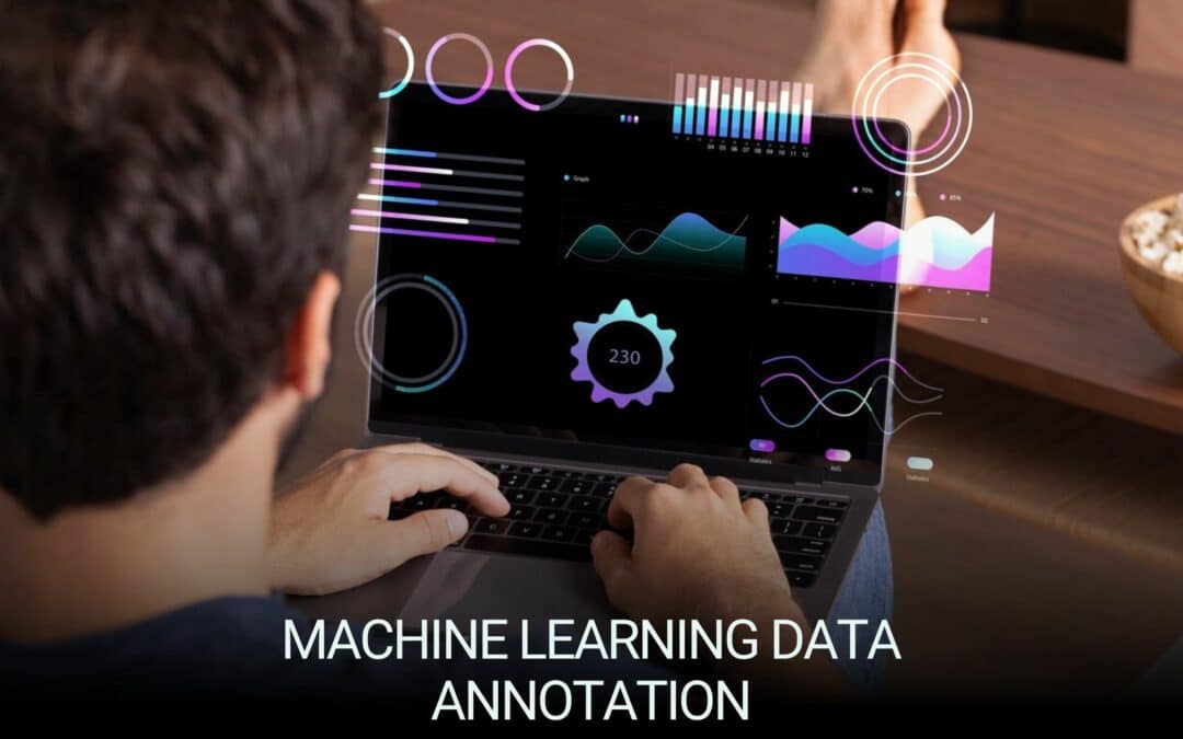 Enhancing Machine Learning Models with Data Annotation