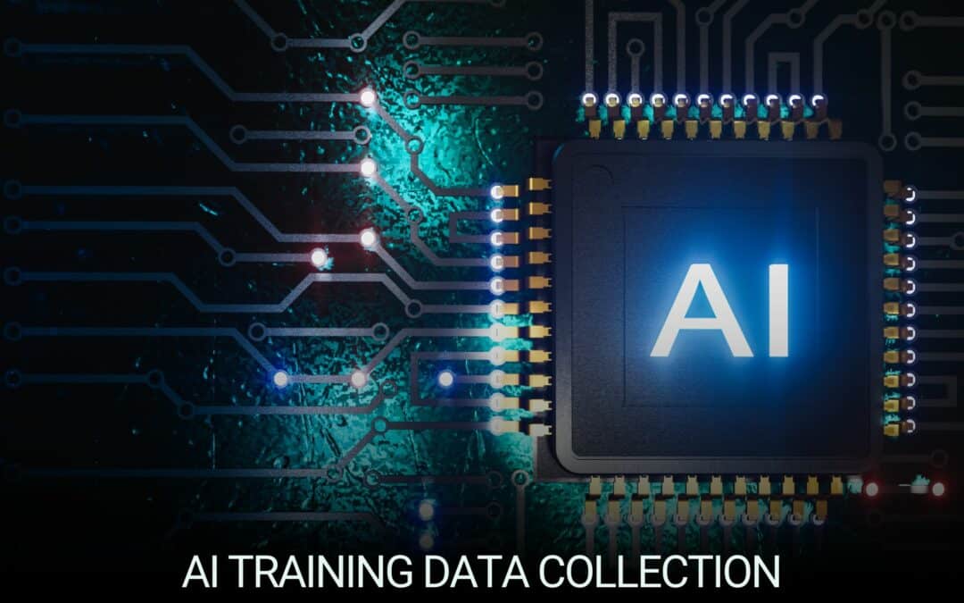 AI Model Training with Large-Scale Image Collection