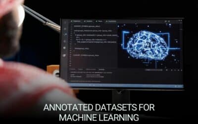 How Annotated Datasets Improve Machine Learning Accuracy
