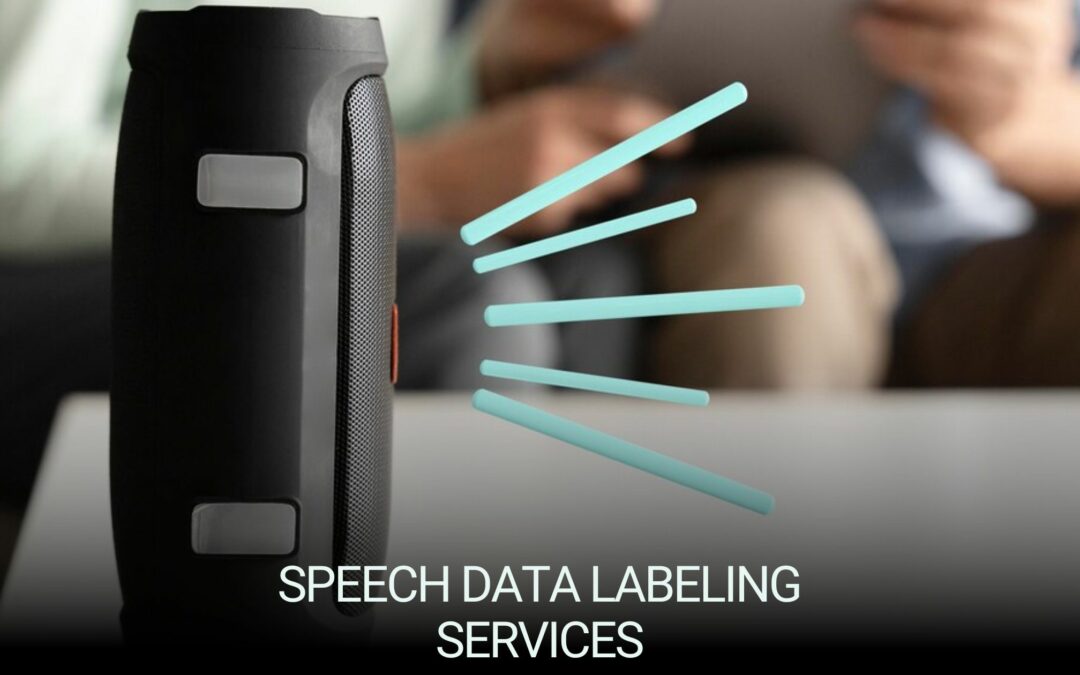 High-Quality Audio Data Collection for AI Development