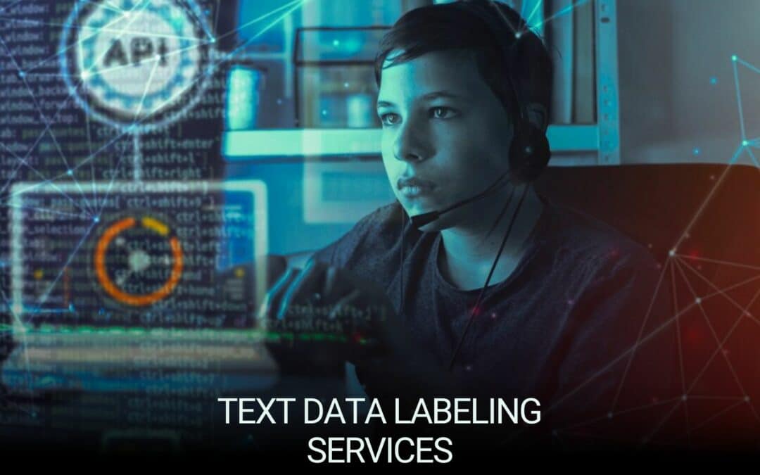Why Text Data Labeling is Critical for AI Success