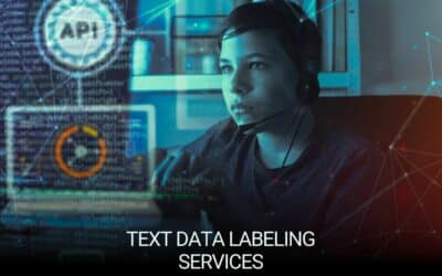 Why Text Data Labeling is Critical for AI Success